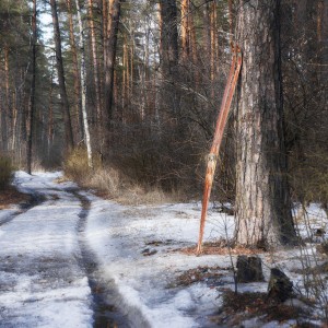 Сезон закрыт